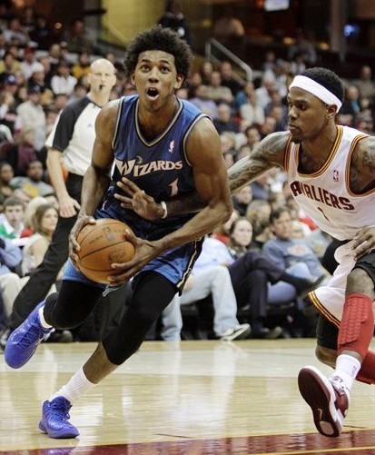 森林狼利用 森林狼利用