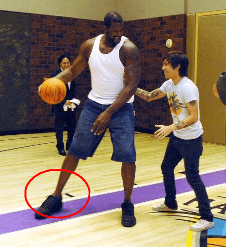 赛训积累 赛训积累